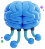 brain